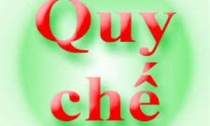 Quy chế tổ chức thi trắc nghiệm trên máy tính trong kỳ thi nâng ngạch cán bộ, công chức từ ngạch chuyên viên lên ngạch chuyên viên chính
